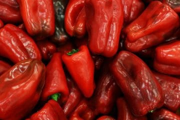 Kakšno papriko izbrati za ajvar? Najboljša je rdeča, podolgovata in mesnata