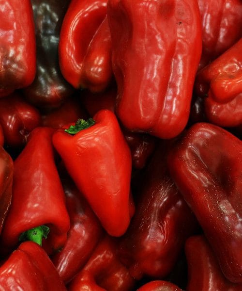 Kakšno papriko izbrati za ajvar? Najboljša je rdeča, podolgovata in mesnata