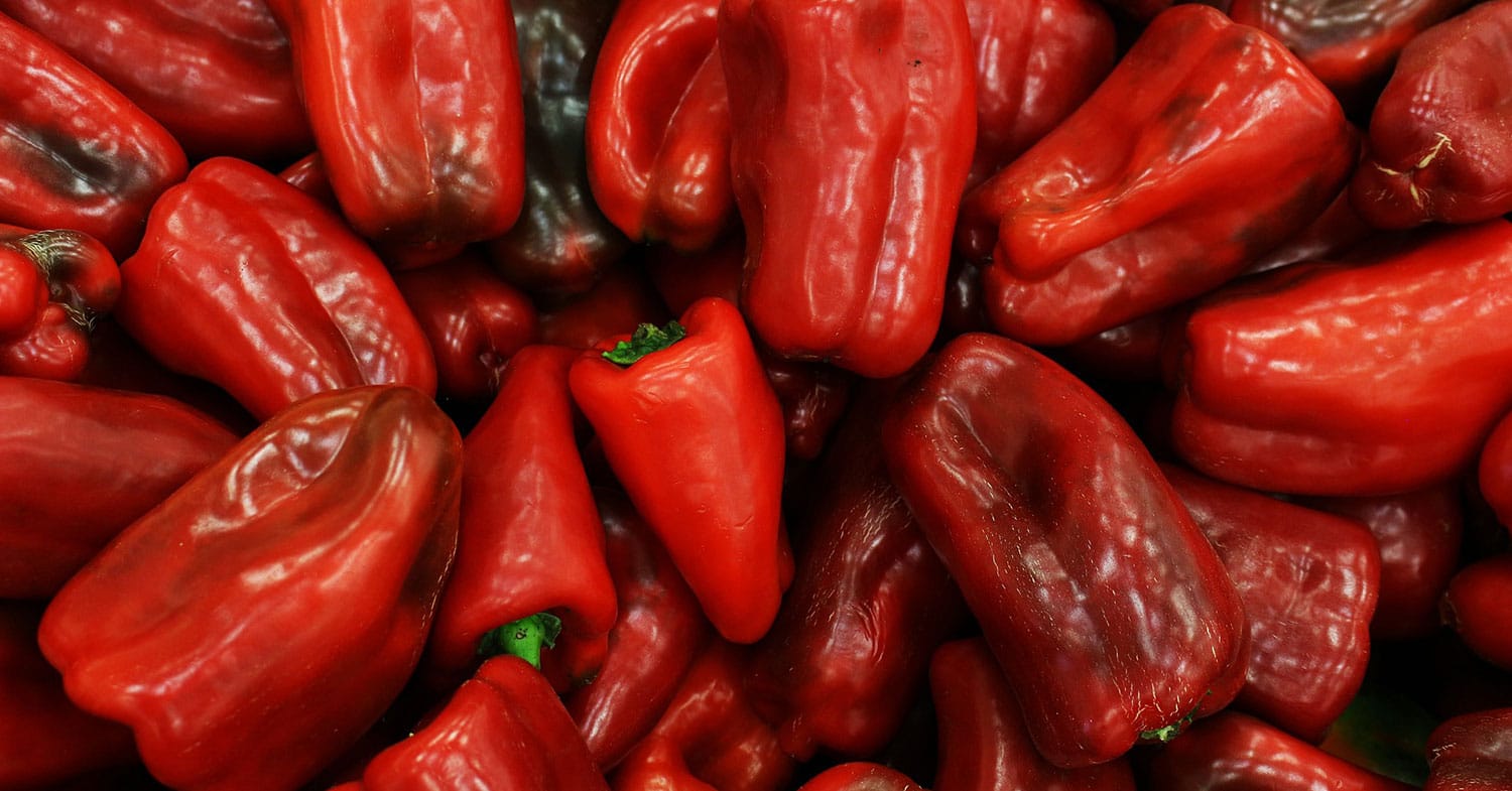 Kakšno papriko izbrati za ajvar? Najboljša je rdeča, podolgovata in mesnata