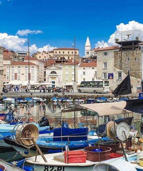 Županske volitve na Obali 2026 – v Kopru že kar dolg seznam kandidatov