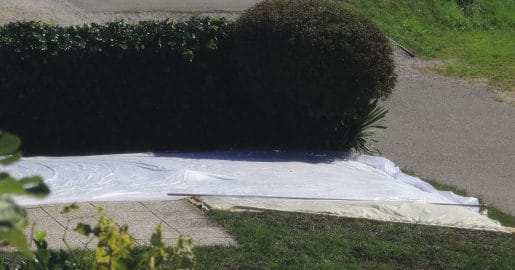 Zdaj je še čas za sajenje trave – po setvi jo še pokrijte, da bodo boljši pogoji