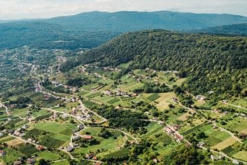 Spreminja se specifikacija za Belokranjca, ministrstvo odprlo postopek za pripombe