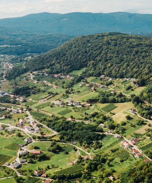 Spreminja se specifikacija za Belokranjca, ministrstvo odprlo postopek za pripombe
