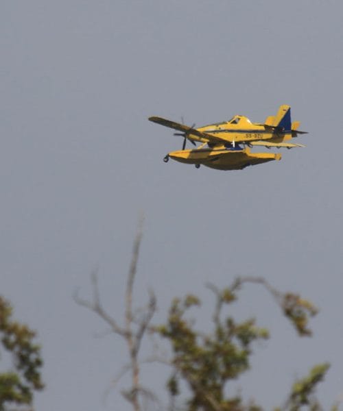Slovenski Air Tractor lahko v enem naletu odvrže okoli 3.000 litrov vode