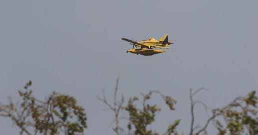 Slovenski Air Tractor lahko v enem naletu odvrže okoli 3.000 litrov vode