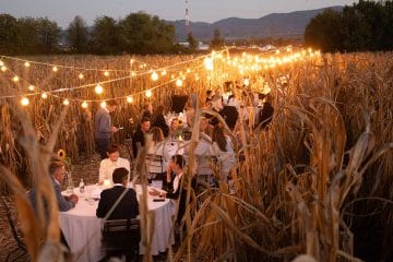 Z večerjo v koruzi se je končal letošnji festival Okusi Posavja (FOTO)