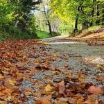 Jesen, Foto: arhiv Vse za moj dan