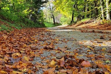 Zakaj se jesen ne začne 21. septembra, ampak 23. v mesecu?