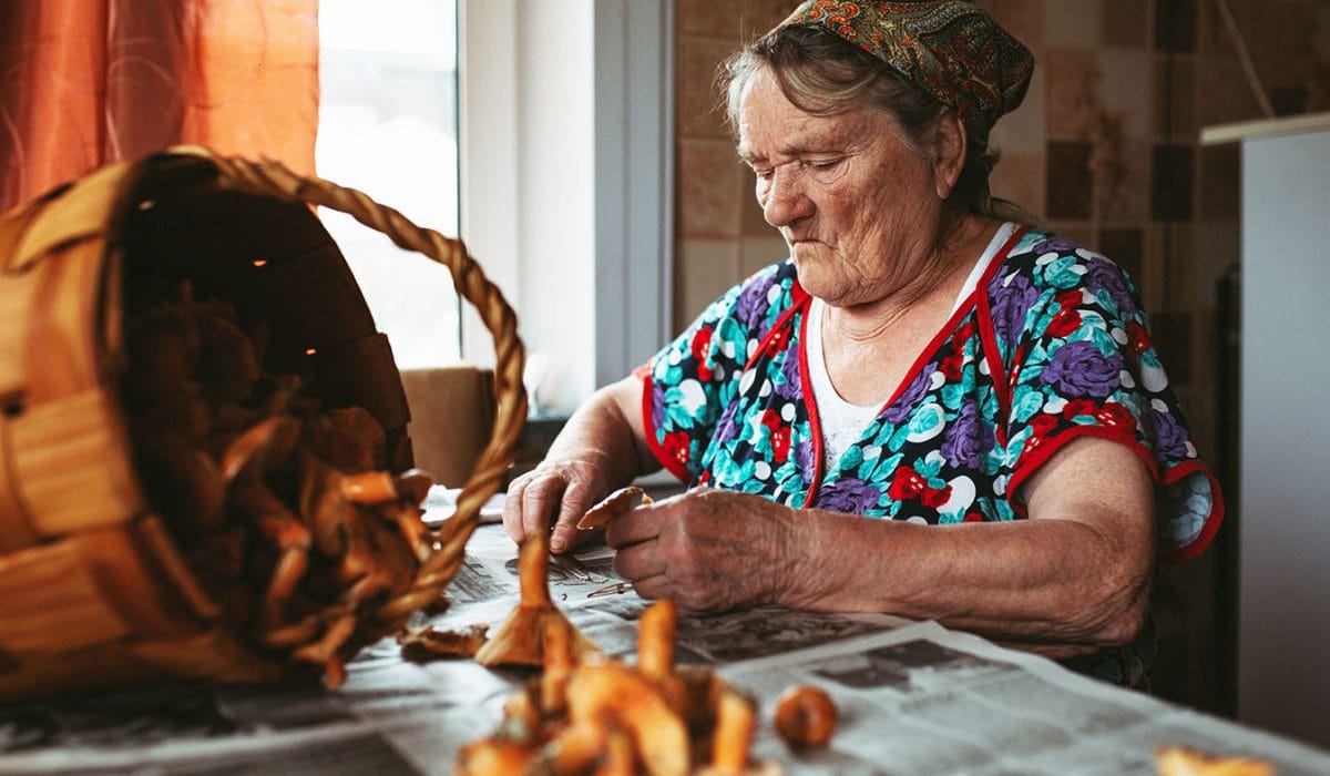 Ženska si ogleduje lisičke, Foto: Pexels