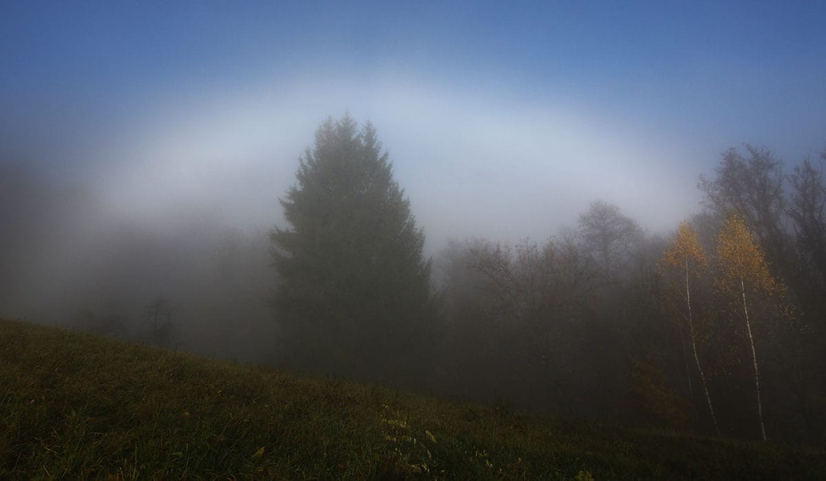 Bela mavrica, Foto: arhiv Vse za moj dan