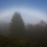 Bela mavrica, Foto: arhiv Vse za moj dan
