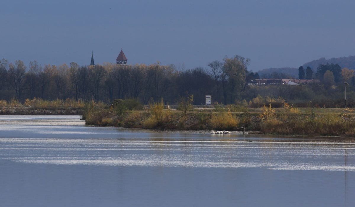 Brežice jeseni, Foto: arhiv Vse za moj dan