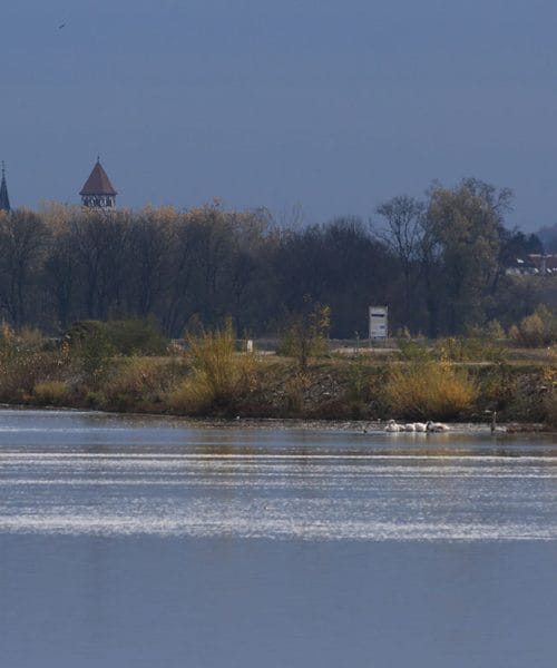 Dežja še nekaj časa ne bo, ARSO napoveduje nadaljevanje suhega vremena