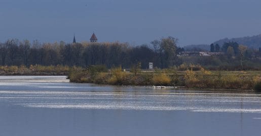 Dežja še nekaj časa ne bo, ARSO napoveduje nadaljevanje suhega vremena