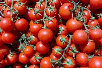 Salmonela v češnjevih paradižnikih iz Italije, naj bi prišli tudi v Slovenijo