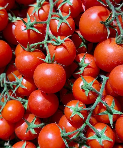 V slovenske gostinske lokale dobavili paradižnik s salmonelo