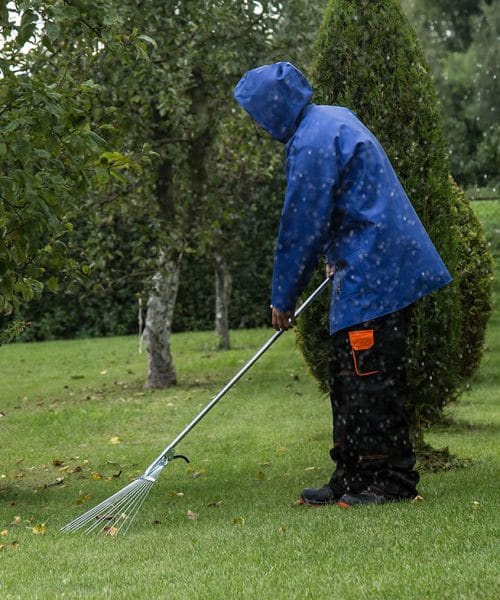 Ali je treba jeseni pograbiti vse odpadlo listje? Povsod ne velja isto pravilo