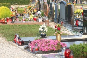 Ikebane za 1. november: kako izbrati, izdelati in ohraniti lep nagrobni aranžma