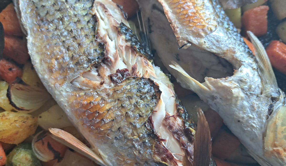 Koža, pečena riba