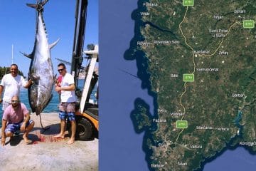 Ena največjih tun, ujeta 2026 v hrvaškem Jadranu, je tehtala 340 kilogramov