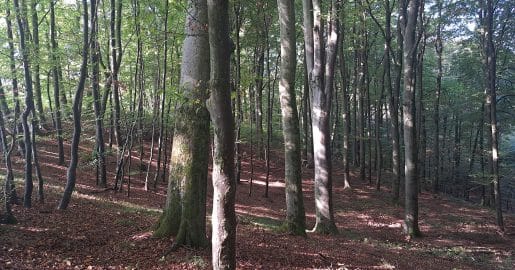 Pet krajev, kjer si lahko napolnite baterije in vsaj za nekaj časa pozabite na skrbi