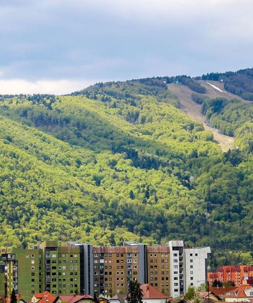 Kje na Pohorju rastejo kostanji? Nekatera drevesa lahko opazite že ob cesti proti Arehu