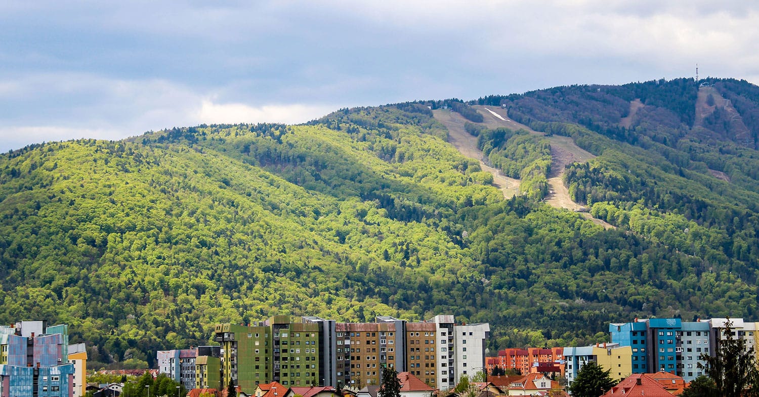 Kje na Pohorju rastejo kostanji? Nekatera drevesa lahko opazite že ob cesti proti Arehu