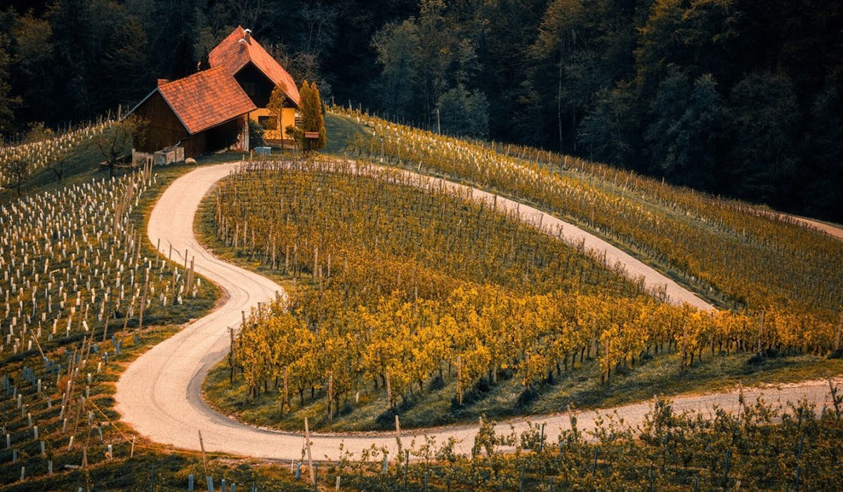 Špiček, Foto: Ida