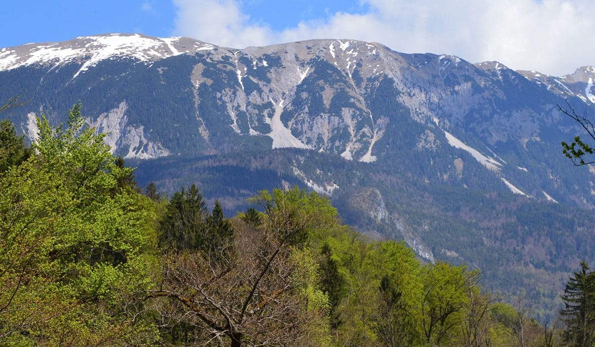Sneg nad Bledom, Foto: Maris Uuetoa