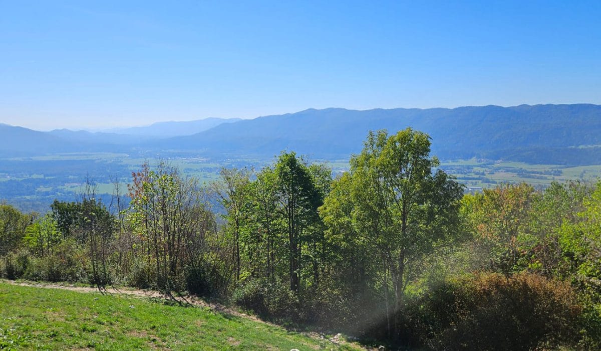 Pogled na Ribnico