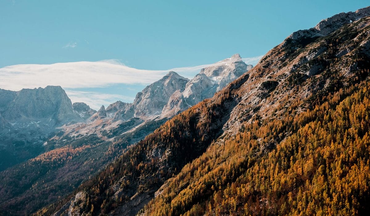 Triglav in rumeni macesni, Foto: Zane Priedīte