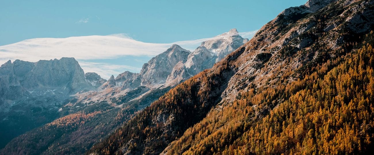 Še malo in slovenski hribi bodo zažareli v zlati barvi, kje bodo macesni najlepši?