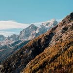 Triglav in rumeni macesni, Foto: Zane Priedīte
