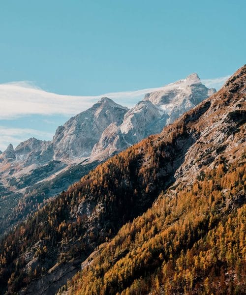 Še malo in slovenski hribi bodo zažareli v zlati barvi, kje bodo macesni najlepši?