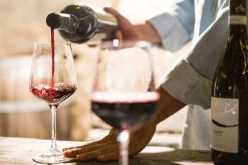 Več kot 50 vinskih hiš na enem mestu, v Vipolžah se začenja Brda&Collio Wine Festival